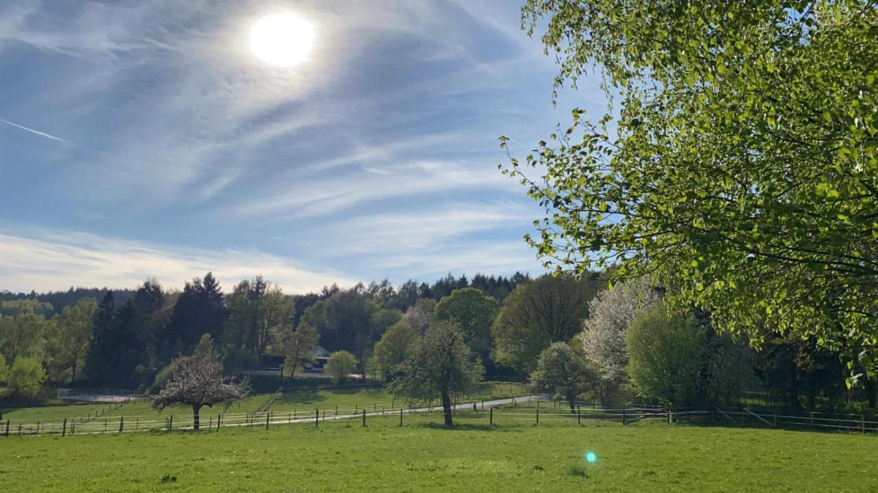 Ferienwohnung Tinas Beauty Neckarsteinach Bagian luar foto