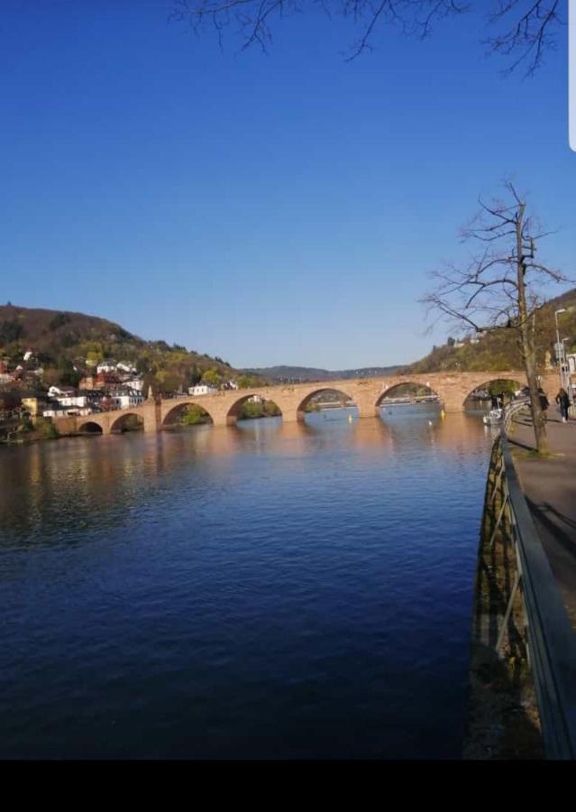 Ferienwohnung Tinas Beauty Neckarsteinach Bagian luar foto