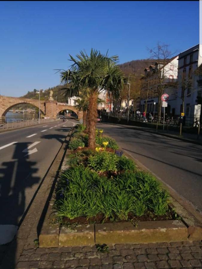 Ferienwohnung Tinas Beauty Neckarsteinach Bagian luar foto
