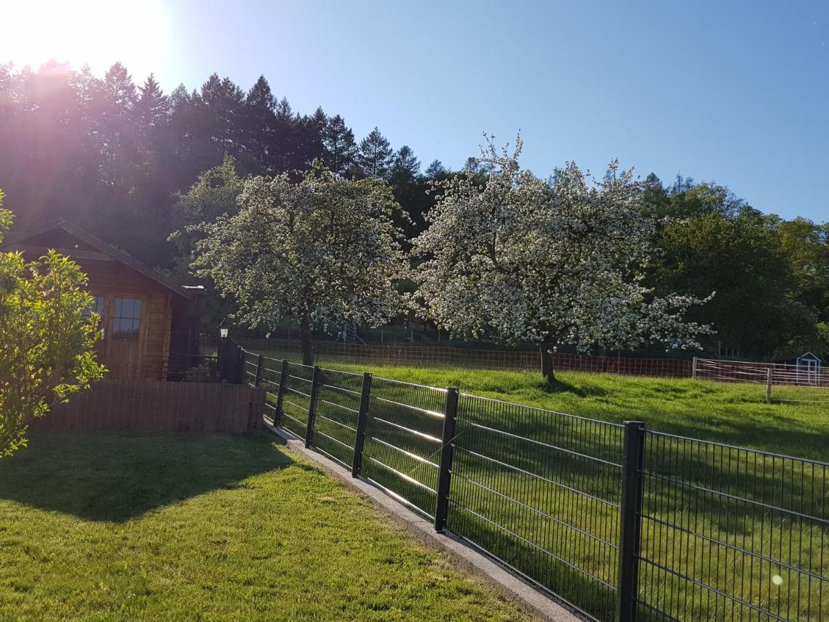Ferienwohnung Tinas Beauty Neckarsteinach Bagian luar foto