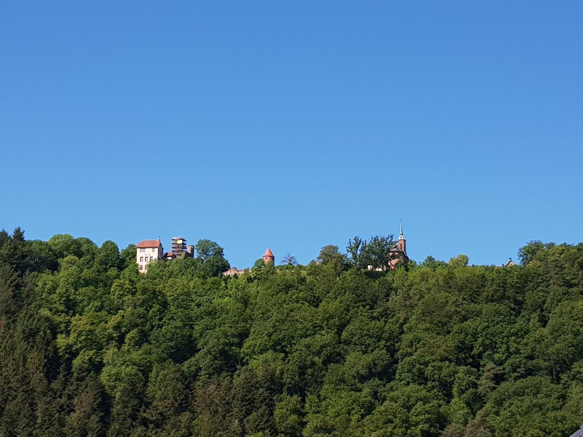 Ferienwohnung Tinas Beauty Neckarsteinach Bagian luar foto