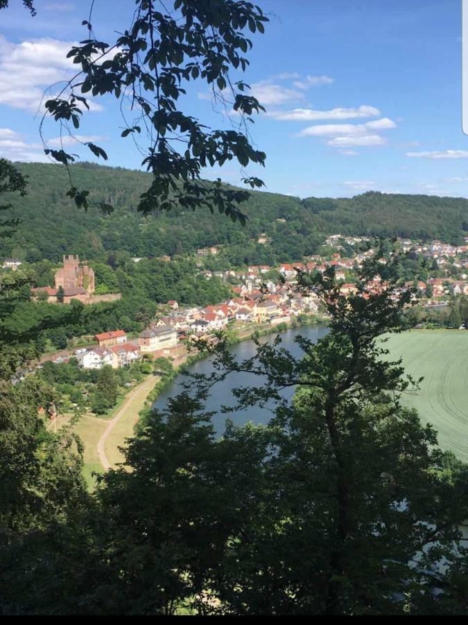Ferienwohnung Tinas Beauty Neckarsteinach Bagian luar foto