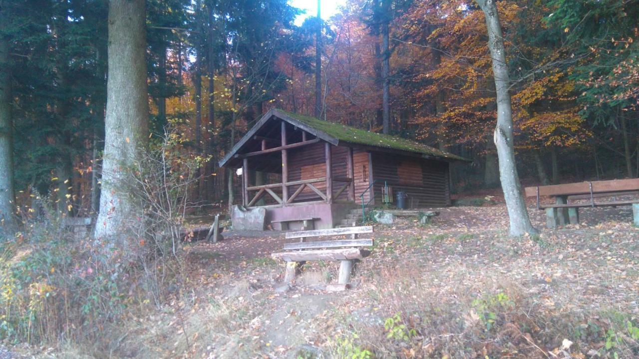 Ferienwohnung Tinas Beauty Neckarsteinach Bagian luar foto