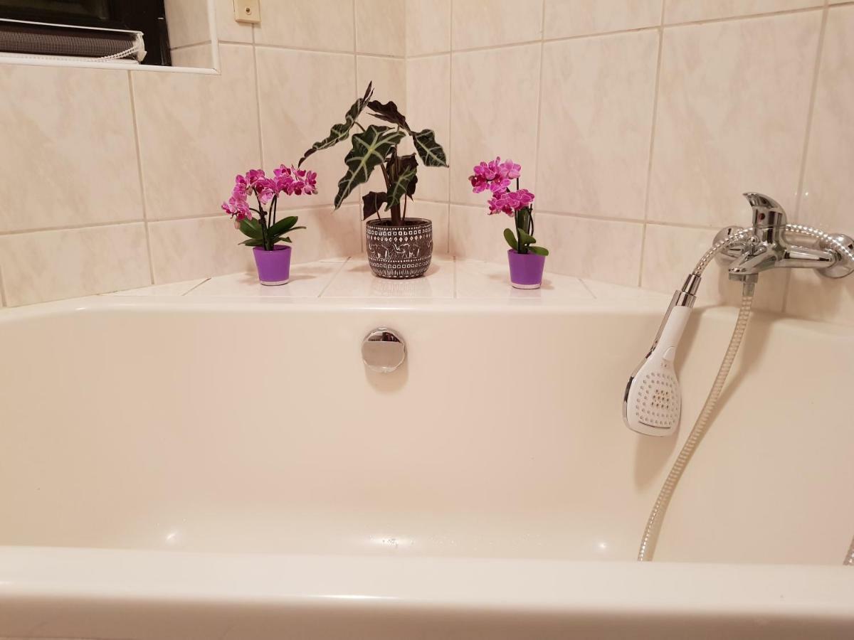 Ferienwohnung Tinas Beauty Neckarsteinach Bagian luar foto