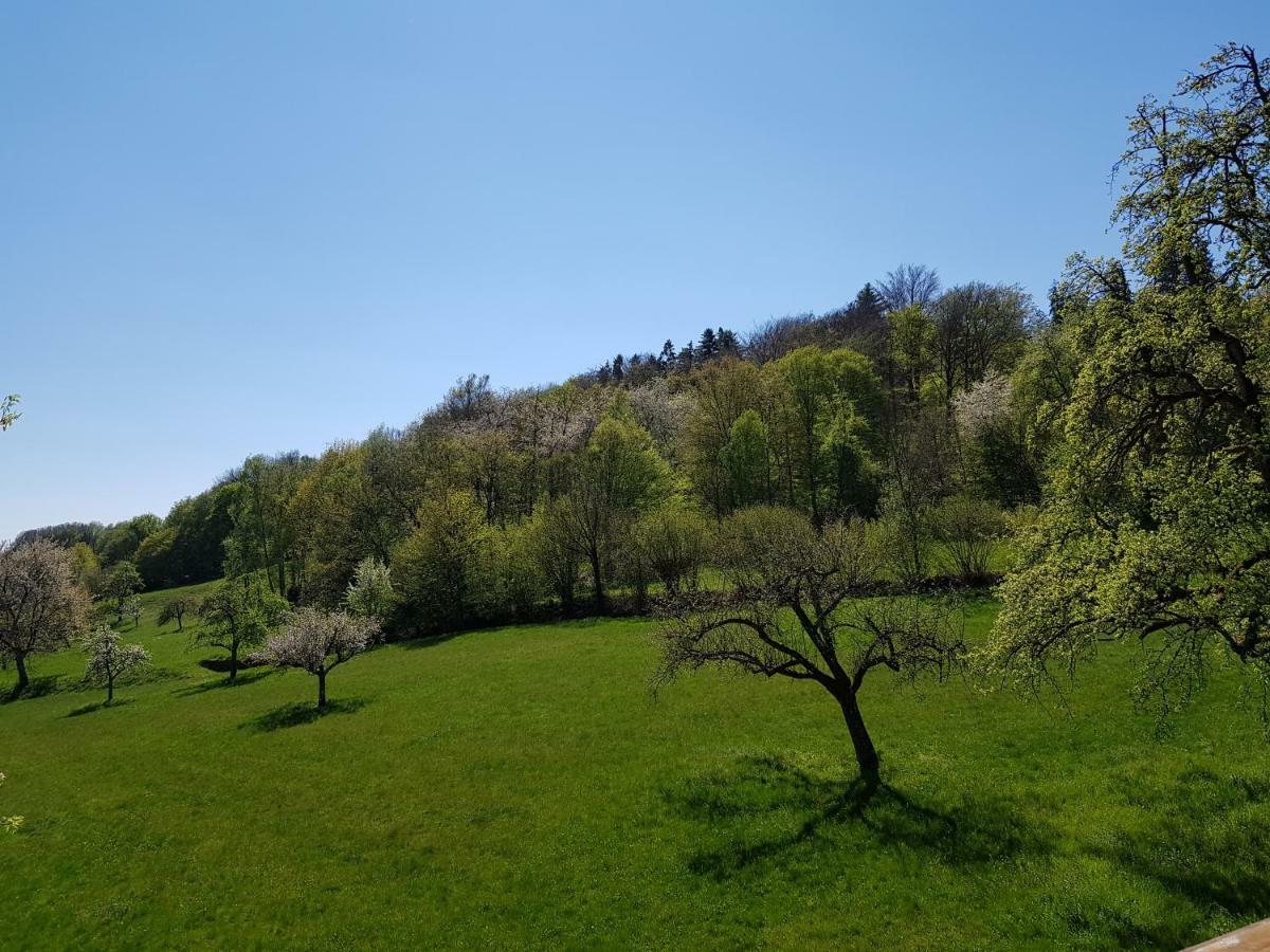 Ferienwohnung Tinas Beauty Neckarsteinach Bagian luar foto