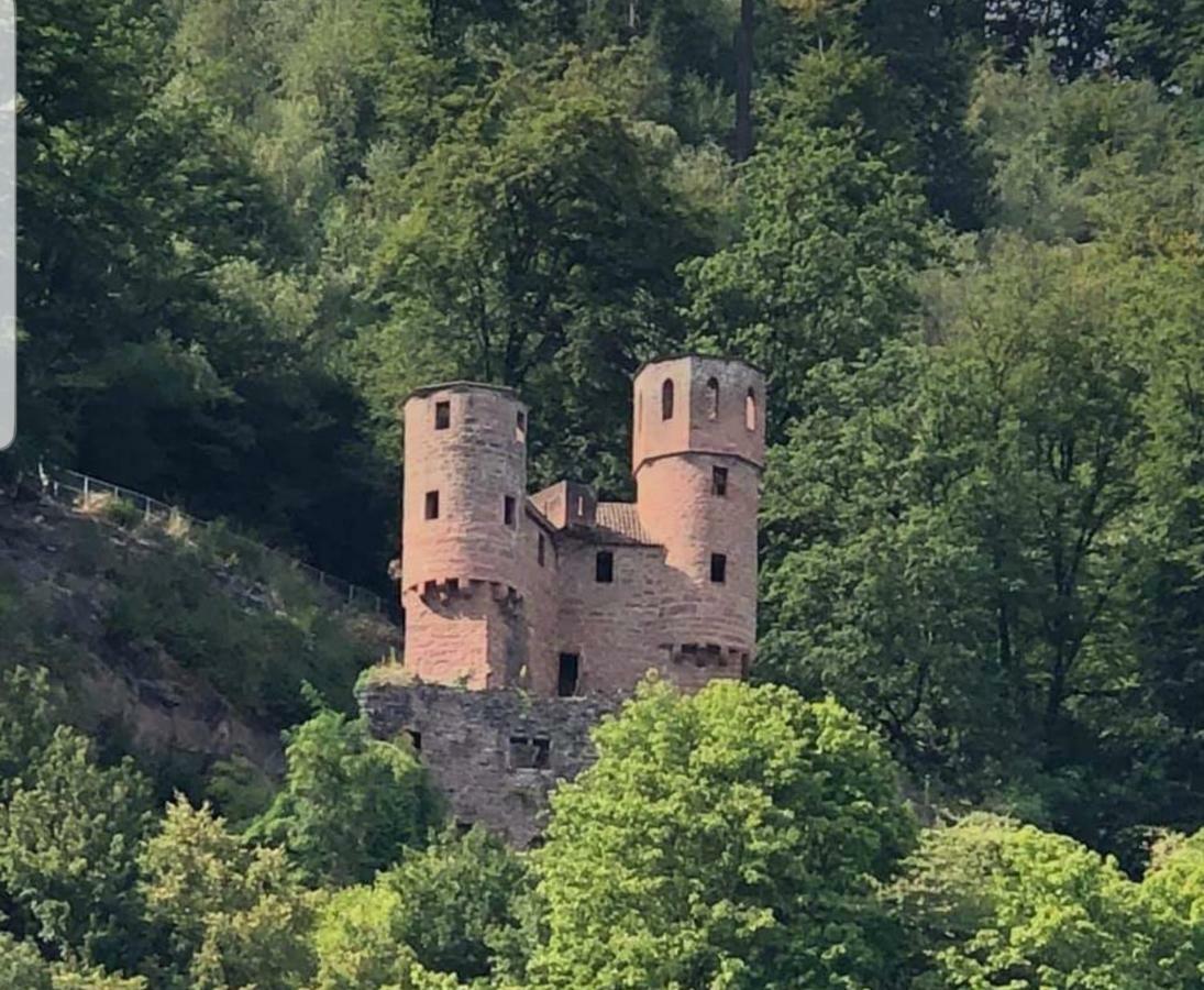 Ferienwohnung Tinas Beauty Neckarsteinach Bagian luar foto