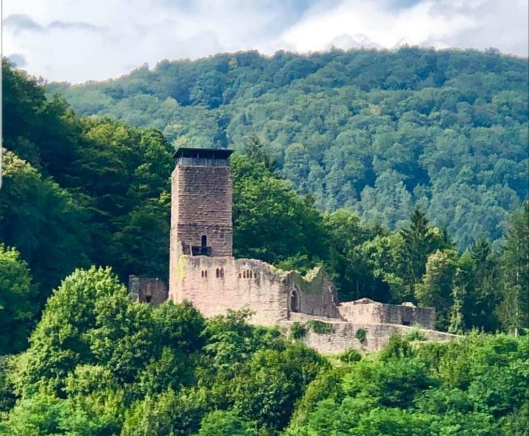 Ferienwohnung Tinas Beauty Neckarsteinach Bagian luar foto