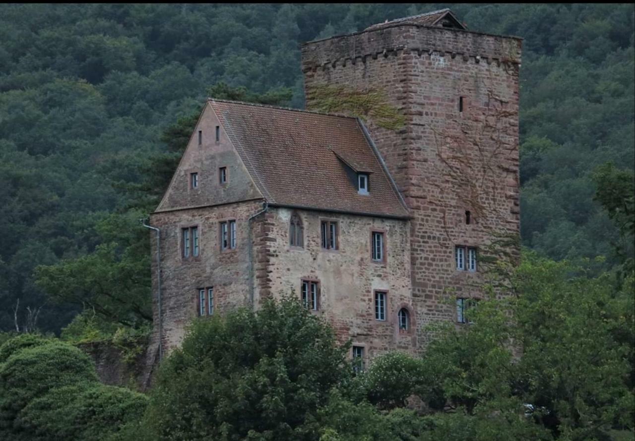 Ferienwohnung Tinas Beauty Neckarsteinach Bagian luar foto
